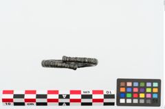 Foto von Bronzeperlarmreif (NHMW-PRAE-025035)